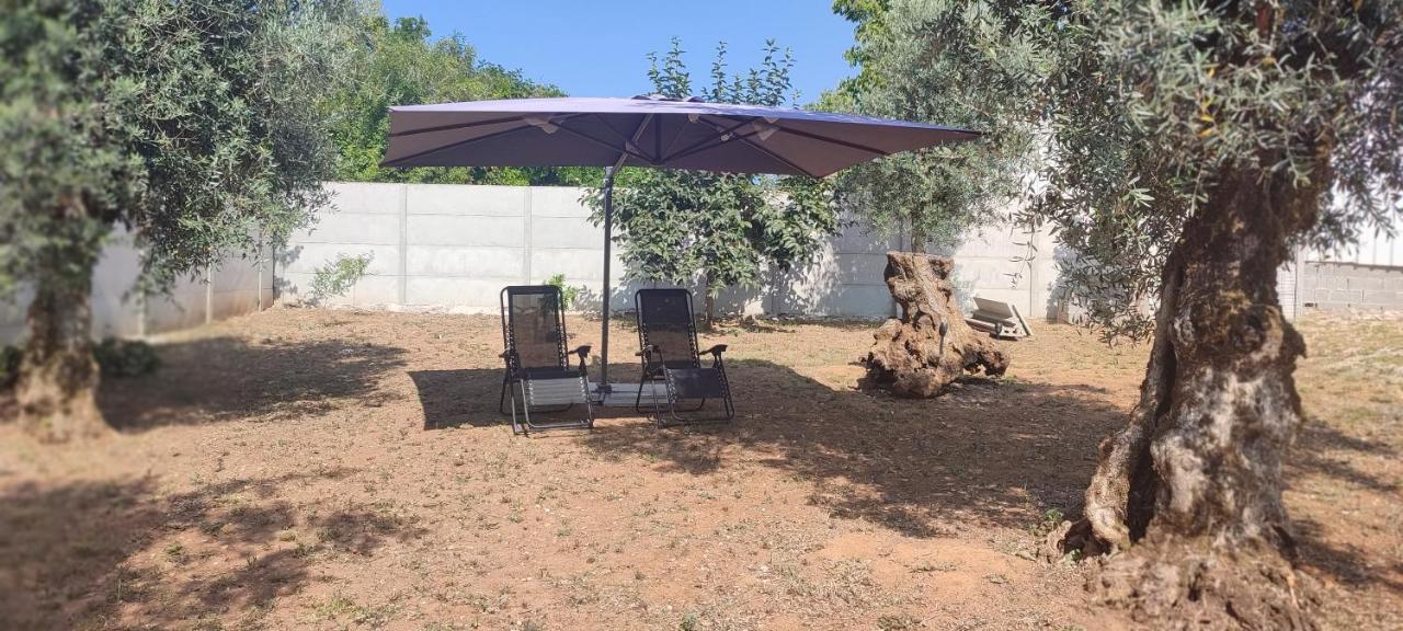 Casa Sophie - Alojamento,Dormitorio,Casa De Ferias Ancião Kültér fotó